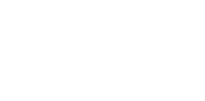 ScreenWise Solutions